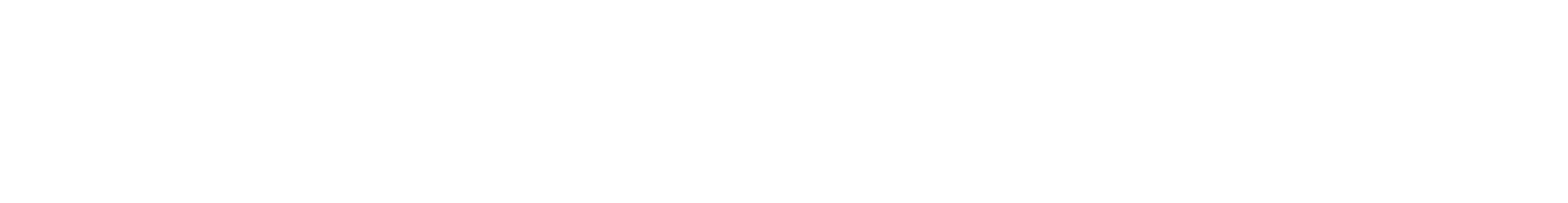 ElevenLabs Partner
